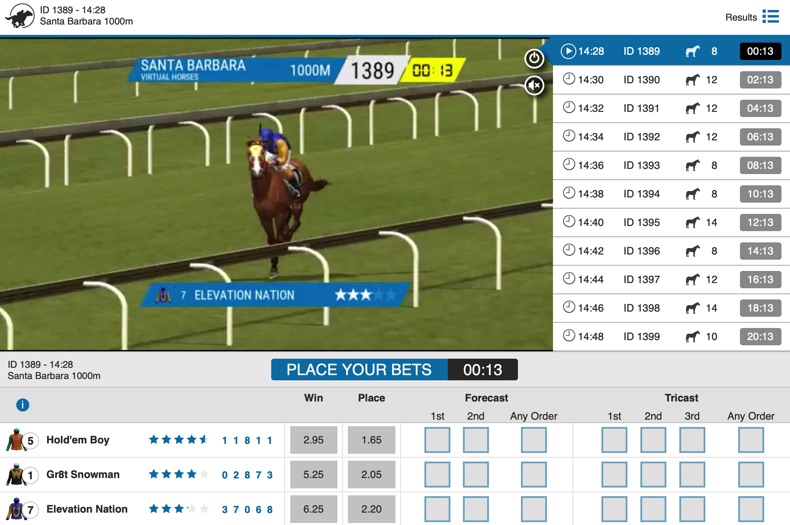 BetRader virtual horse racing software