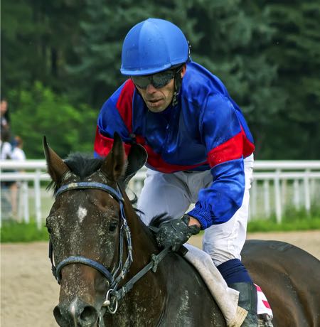 Horse jockey up close
