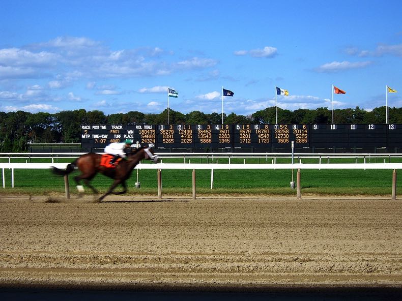 Horse coming in