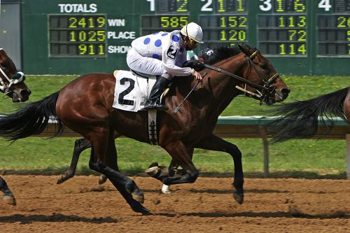 Horse race