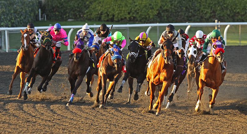 Horse racing in action