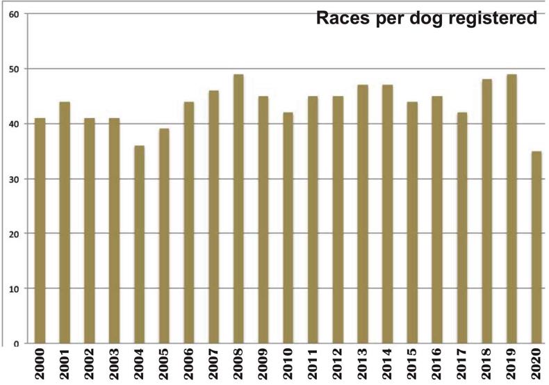 Greyhound Registrations