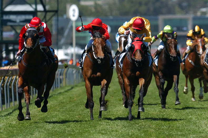 Group of Horses in Race